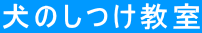 ���̂�������